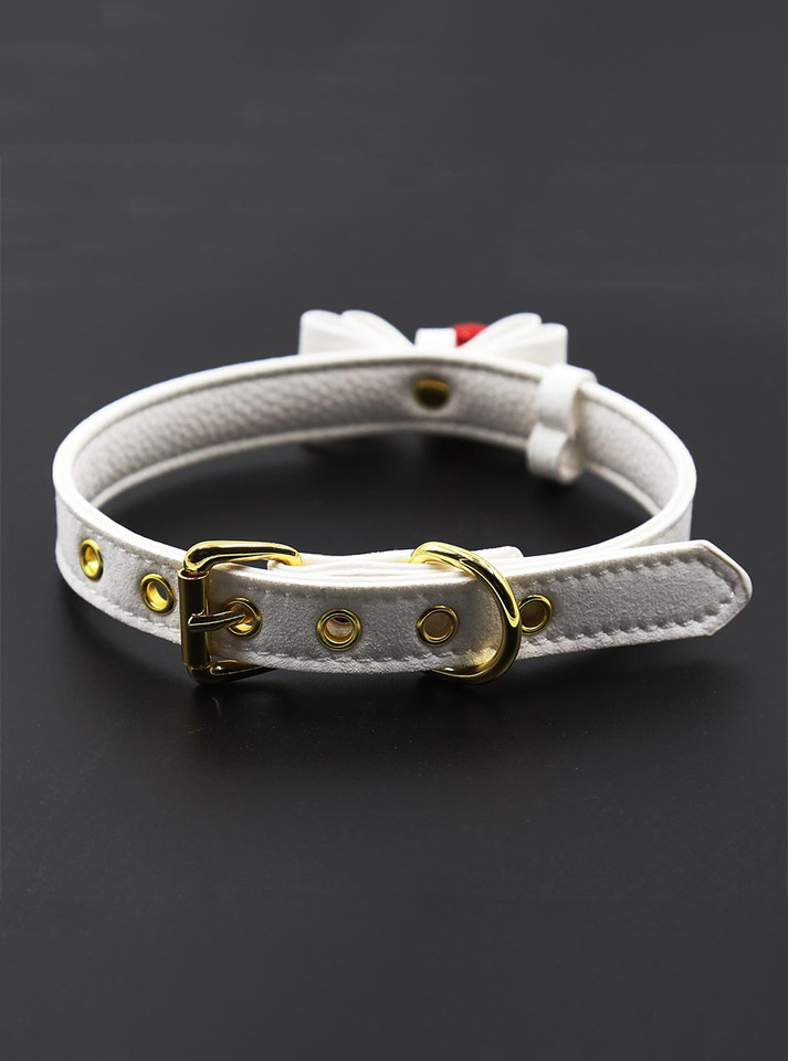 Close-up of the white collar’s adjustable gold buckle.