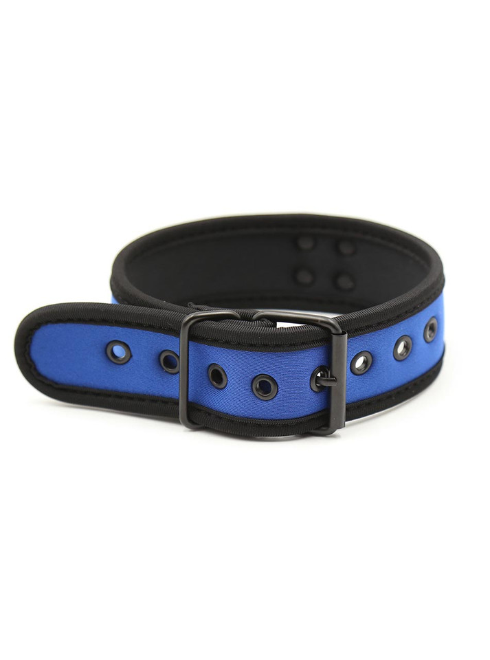 Blue neoprene pet play collar with black trim and adjustable buckle