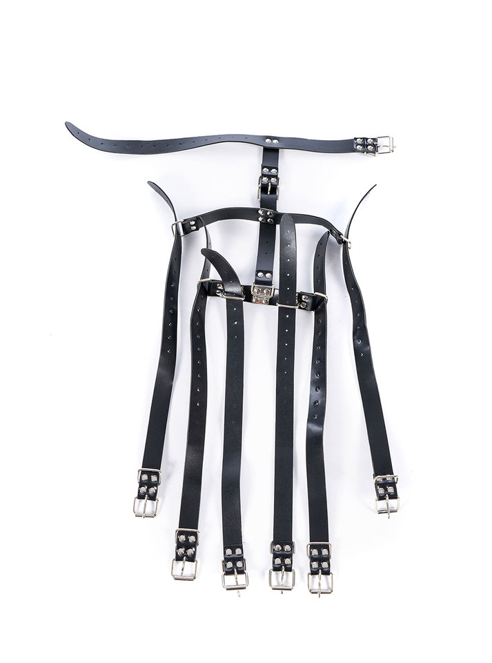 Full spread of the armbinder harness showing all adjustable components