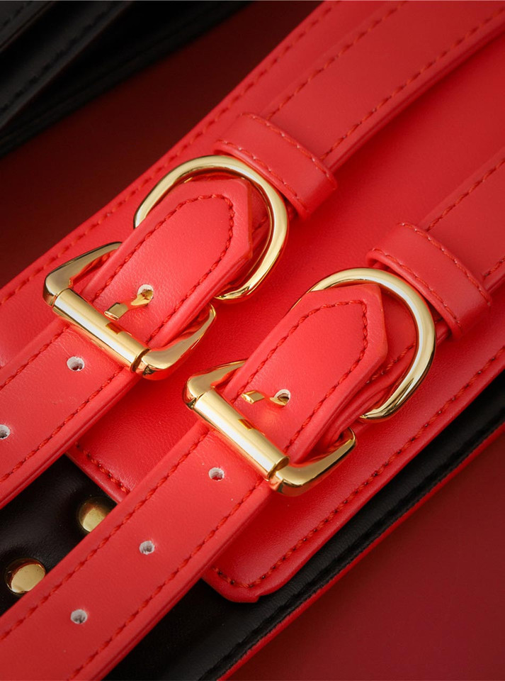 Close-up of red bondage belt buckle and gold D-ring detailing