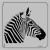 11-00128 Zebra Head Safari Animal Stencil
