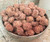 Margarita Peanuts  (Bulk, by the lb.)