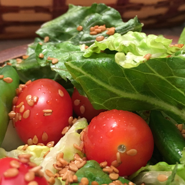 Tamari Sesame Seeds (6 oz bag)