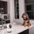 EVO​ Pan & Tilt Wi-Fi Camera​ | SWIFI-SE2KPT