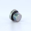 Parker VSTI3/8EDCF Hollow Hex Pipe Plug G3/8 BSPP Steel| Next Day Fittings