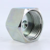 Parker 12 FNL-S Seal-Lok Tube Cap 3/4 ORFS Steel| Next Day Fittings
