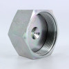 Parker 20 FNL-S Seal-Lok Tube Cap 1-1/4 ORFS Steel| Next Day Fittings
