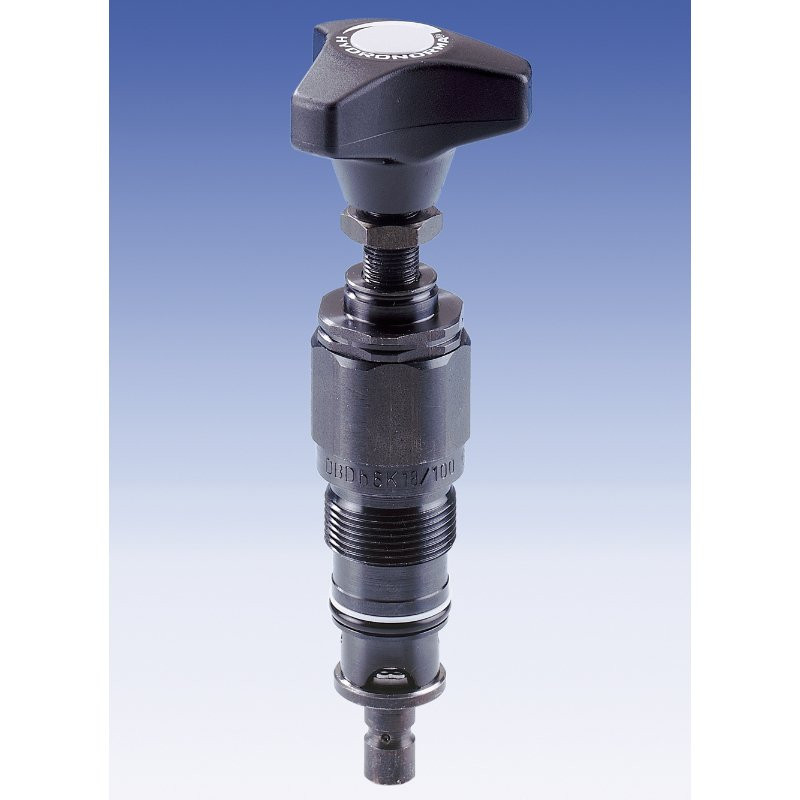 Bosch Rexroth R900347546 DBDH6G1X/50/12 Hydraulic Pressure Control Valve