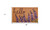 17" X 29" Natural Black and Purple Coir Floral Hello Outdoor Door Mat N270-555300