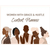 Women With Grace & Hustle Content Planner - Paperback H871-10776271552785
