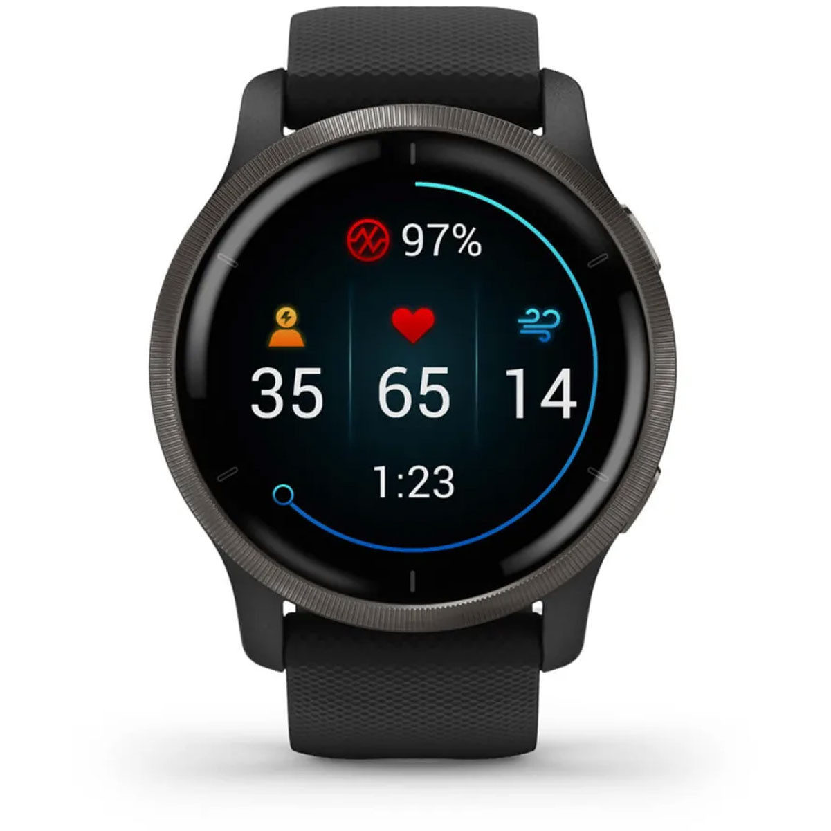 GARMIN Venu 2 GPS Wi-Fi Black/Slate Smartwatch (010-02430-11