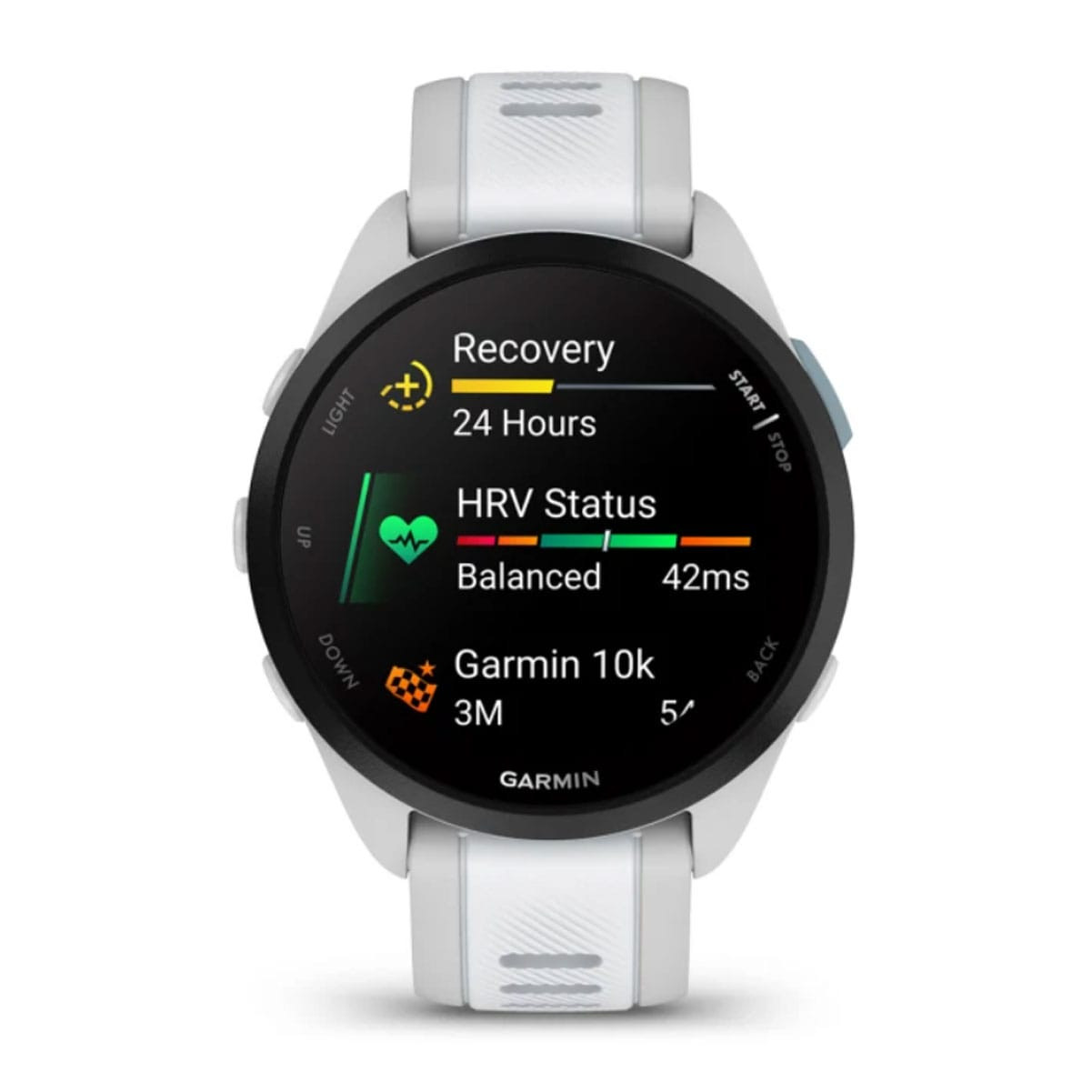 GARMIN Forerunner 165 Mist Gray/Whitestone Smartwatch (010-02863