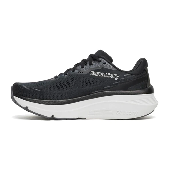 Black/Silver