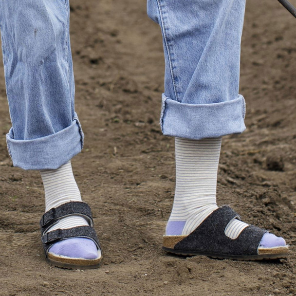 Pinstripe Heathered Oat/Lavender