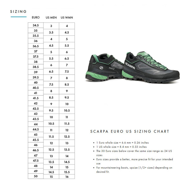 Anthracite/Light Green