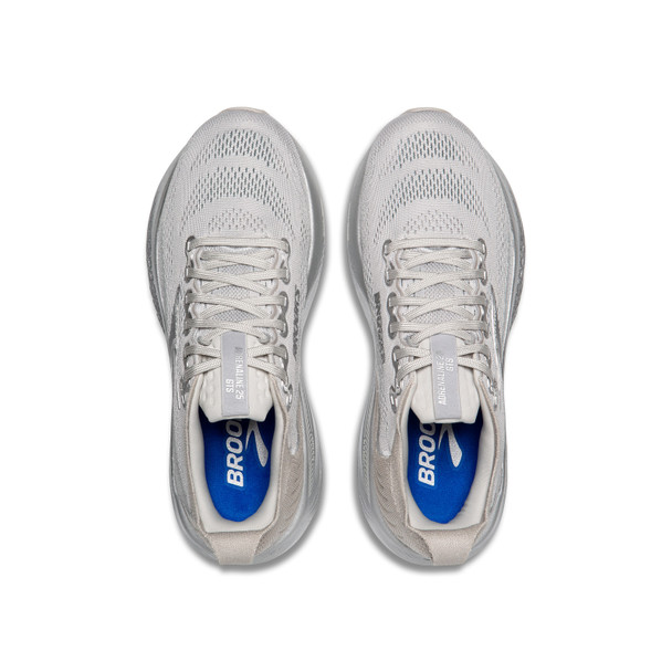 Silver Anniversary Edition