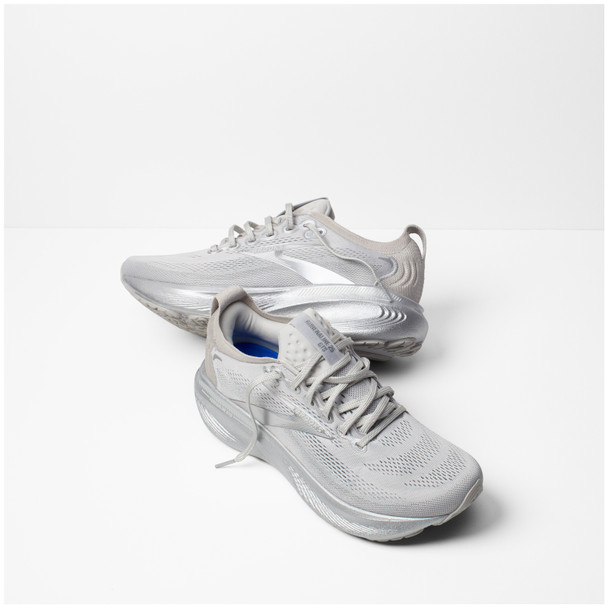 Silver Anniversary Edition