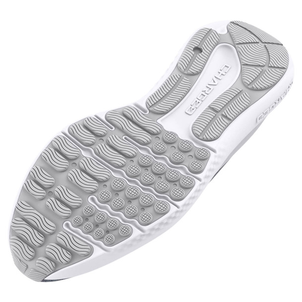 Steel/Mod Gray/White