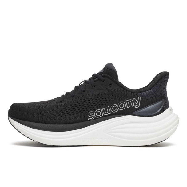Black/Silver