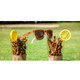 GOODR Three Parts Tee Sunglasses