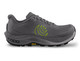Gray/Lime