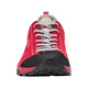 Gerbera