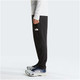 THE NORTH FACE Men's Sunriser Regular/Short Pants