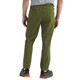 THE NORTH FACE Men's Wander 2.0 Woodland Green Joggers