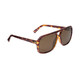 ELECTRIC Dude Matte Tort/Bronze Polarized Sunglasses (EE16713943)