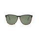 ELECTRIC Encelia Darkside Tort/Grey Polar Sunglasses (EE12062342)