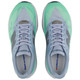 Light Arctic Gray