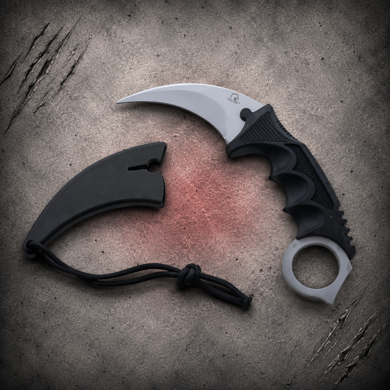 Silver fixed karambit knife with black sheath displayed separately on a textured gray background.