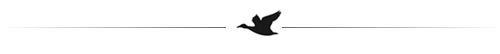 line-spacer-the-blind.png