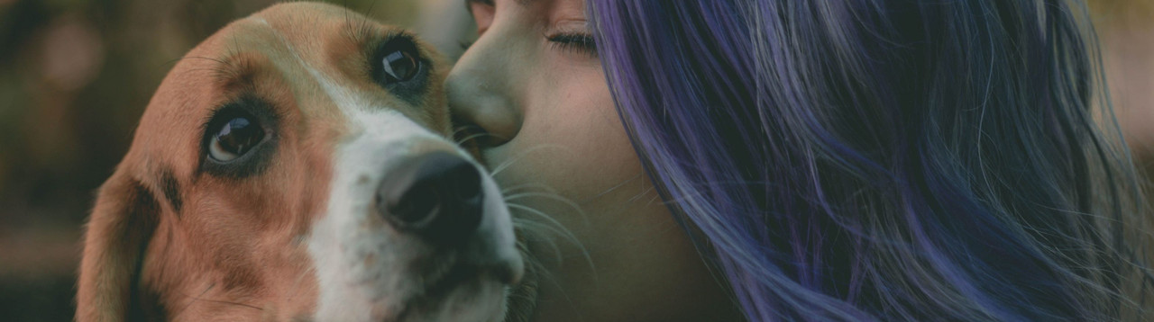 Pet Owners