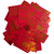 Scarlet Edition Tarot Deck
