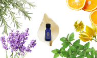 Our Favorite Essential Oils for Spring