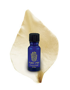 Vanilla Absolute Essential Oil Infused in Jojoba Oil