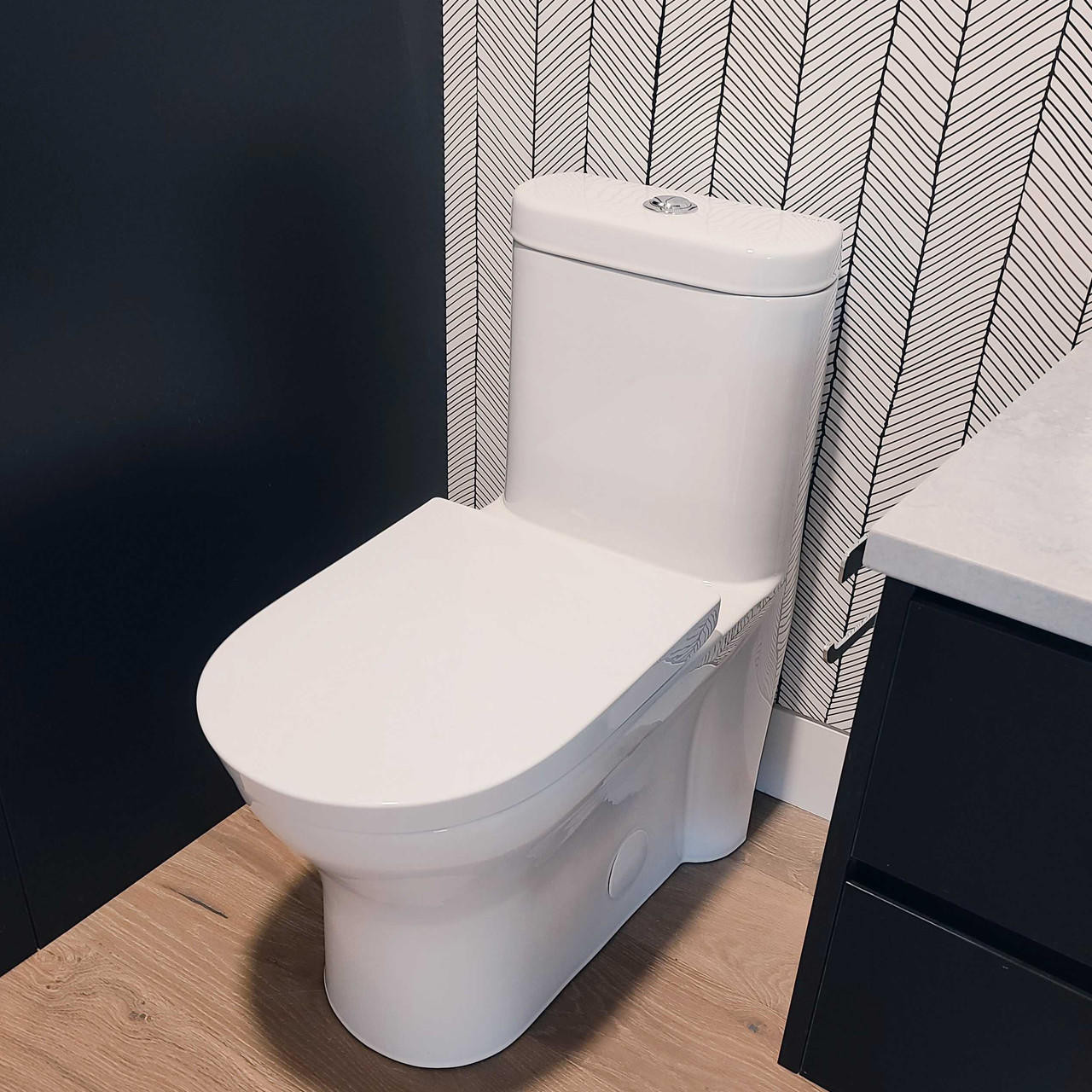 FISHER EcoMax™ Dual Flush Toilet in Metro White