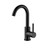 HEATHER Matte Black Bathroom Faucet GBF835-MB