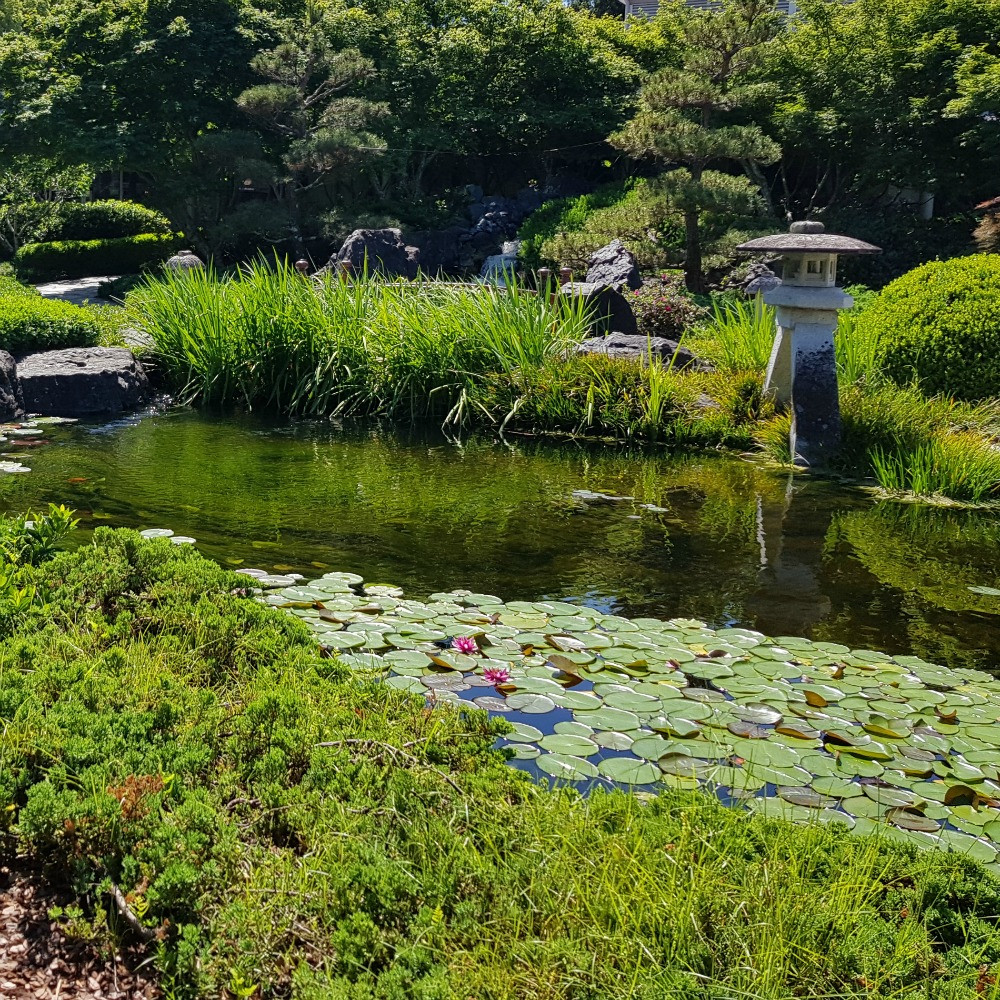 pond water tests