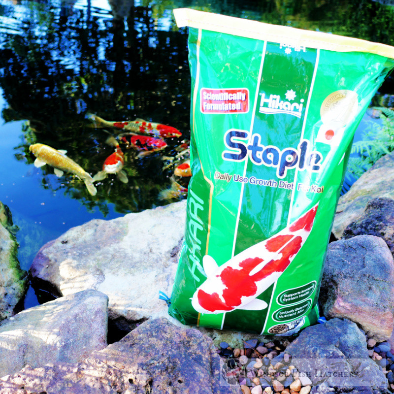 10kgs staple koi and goldfish all season fish food