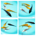 four young koi to see grow and develop in your pond