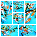 9 assorted varieties of 6-9cm koi fish