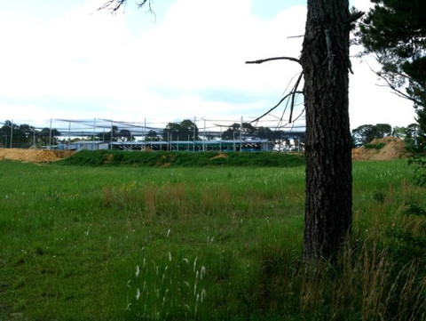 What to expect when ordering from Windsor Fish Hatchery ! Easy to Follow.