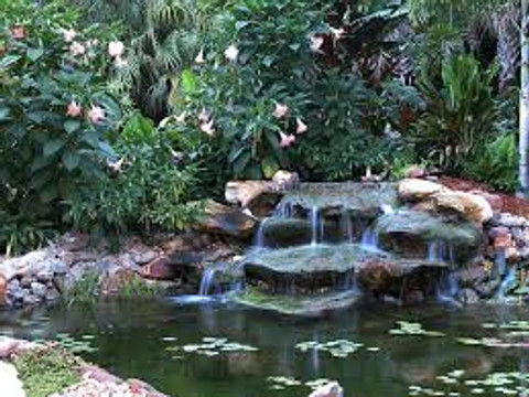 How to clear green pond water fast "Fix It Now"