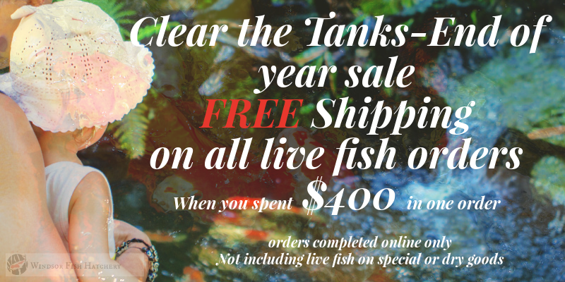 november-marketing.png november-marketing.png