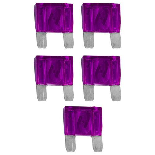 Xscorpion 100 Amp Fuses 5Per Bag