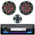 JVC KD-X38MBS Single DIN Marine MotorSports Bluetooth USB AUX LED Stereo SiriusXM Receiver, Wired Remote, 2x Kicker 41KM84LCW 8" LED Speakers with Grilles