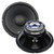 Audiopipe 800 W Max 12" Low Mid Frequency Loud Speaker (R-APSL12B)