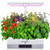 SereneLife Smart Starter Kit-Hydroponic Herb Garden Indoor Plant System w/Height Adjustable LED Grow Lights, 6 pods, 3 Modes-Home Kitchen, Bedroom, Office SLGLF140 (White)